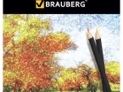   BRAUBERG "Artist line", 24 ,  , ,  , 180565 - - " "