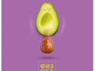   "AVOCADO" 48 .,  , , , BRAUBERG, 404283 - - " "