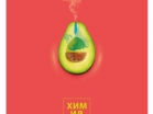   "AVOCADO" 48 .,  , , , BRAUBERG, 404284 - - " "