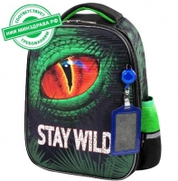   LIGHT, 2 , "Stay wild", 382916 , 270609 - - " "