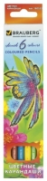   BRAUBERG "Wonderful butterfly", 6 , ,    , 180522 - - " "