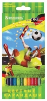   BRAUBERG "Football match", 12 , ,  , 180534 - - " "