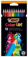 181847   12  BIC "Color UP", , , 9505271 - - " "