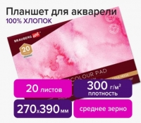     100%, 300 , 270390 , , 4 ,  , 20 ., BRAUBERG ART, 113242 - - " "
