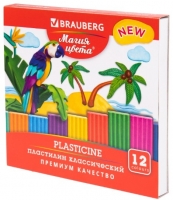   BRAUBERG "  NEW", 12 , 240 , ,  , 106426 - - " "