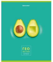   "AVOCADO" 48 .,  , , , BRAUBERG, 404278 - - " "