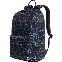  BRAUBERG DREAM     , , "Neon cats", 422614 , 270771 - - " "