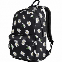  BRAUBERG DREAM     , , "Camomile", 422614 , 270773 - - " "